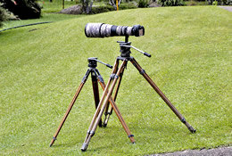 Two Miller tripods with 500mm Nikkor
